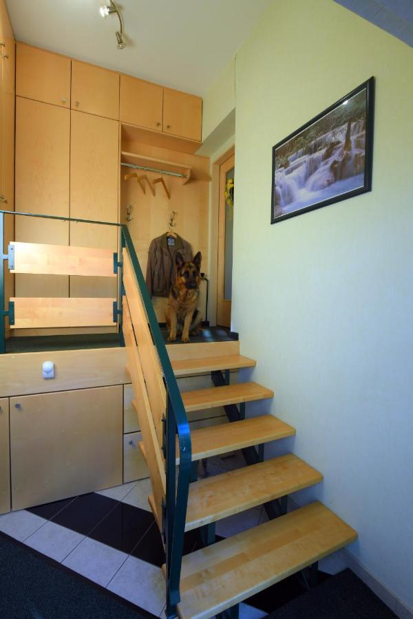 Ferienappartement Regina Schrems  Екстер'єр фото